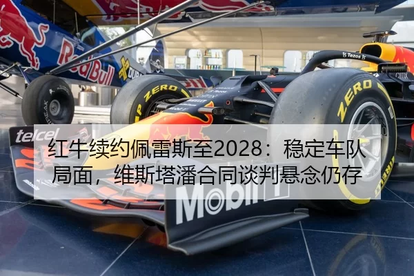 hong-niu-xu-yue-pei-lei-si-zhi-wen-ding-che-dui-ju-mian-wei-si-ta-pan-he-tong-tan-pan-xuan-nian-reng-cun-2-311.jpg